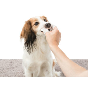 Trixie Servetele Degetar Pentru Igiena Dentara La Caini/Pisici, 50 buc, 29393