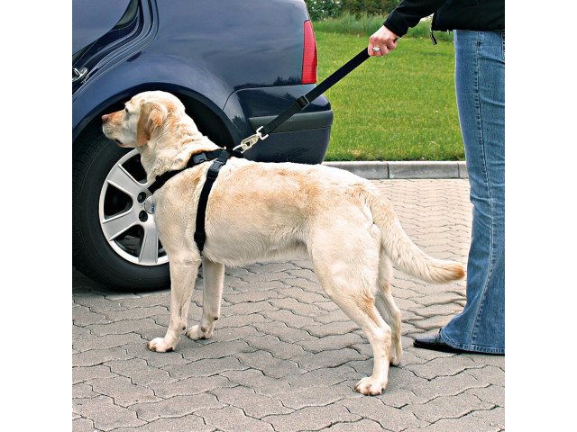 Trixie Ham Si Centura Auto Pentru Caini, M: 50-70 cm/25 mm, Negru, 1291 - imagine 4