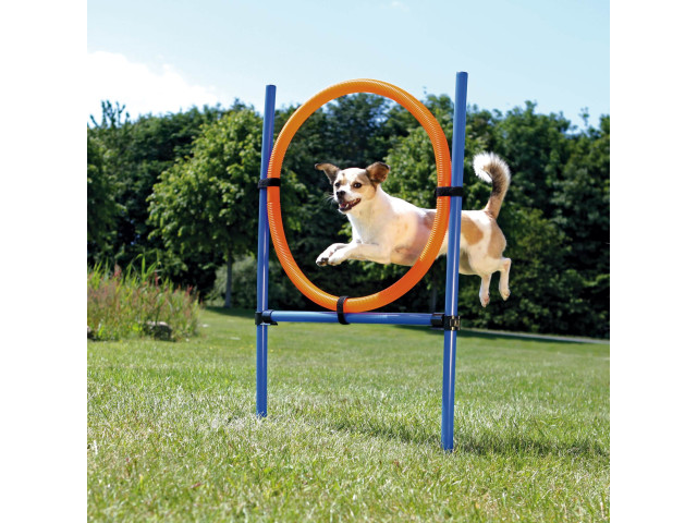 Trixie Inel Pentru Caini, Fun Agility, Plastic, 115x3 cm, 65 cm, 3208