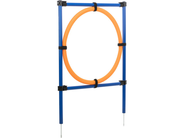 Trixie Inel Pentru Caini, Fun Agility, Plastic, 115x3 cm, 65 cm, 3208 - imagine 4