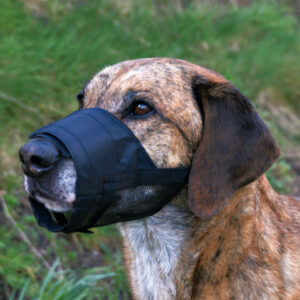 Trixie Botnita Plasa, L-XL: 24-34 cm, 19265