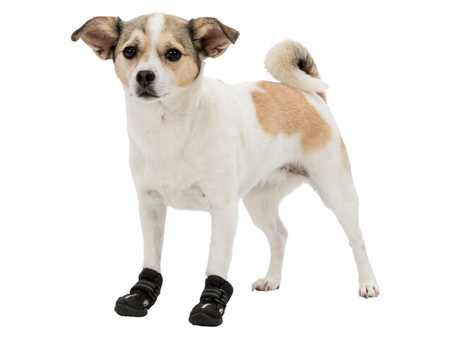 Trixie Pantofi Walker Active, Cu Talpa Robusta, M, 2 buc, Negru, 19463 - imagine 5