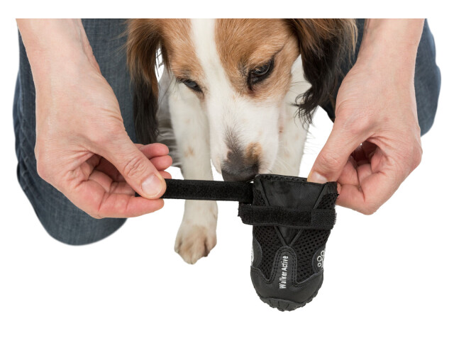 Trixie Pantofi Walker Active, Cu Talpa Robusta, S-M, 2 buc, Negru, 19462 - imagine 13