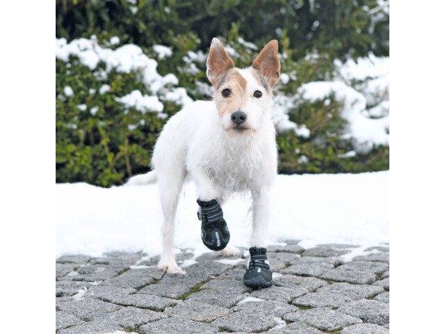 Trixie Pantofi Walker Active, Cu Talpa Robusta, S-M, 2 buc, Negru, 19462 - imagine 3