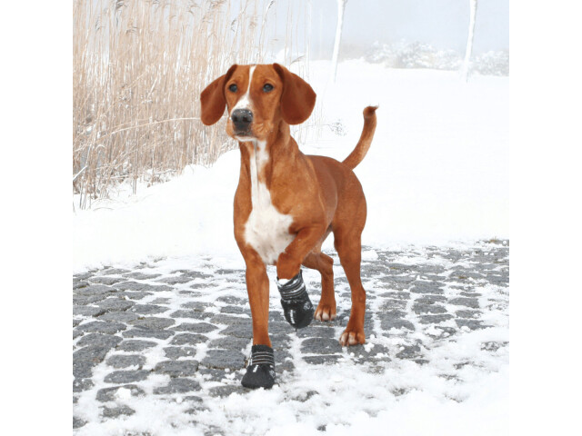 Trixie Pantofi Walker Active, Cu Talpa Robusta, M, 2 buc, Negru, 19463 - imagine 7