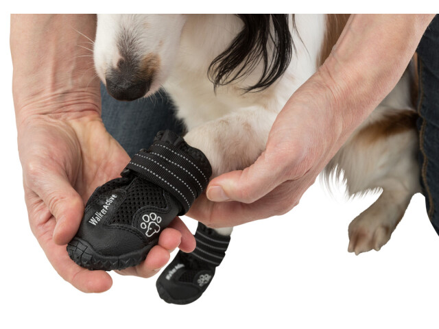 Trixie Pantofi Walker Active, Cu Talpa Robusta, L-XL, 2 buc, Negru, 19466 - imagine 6