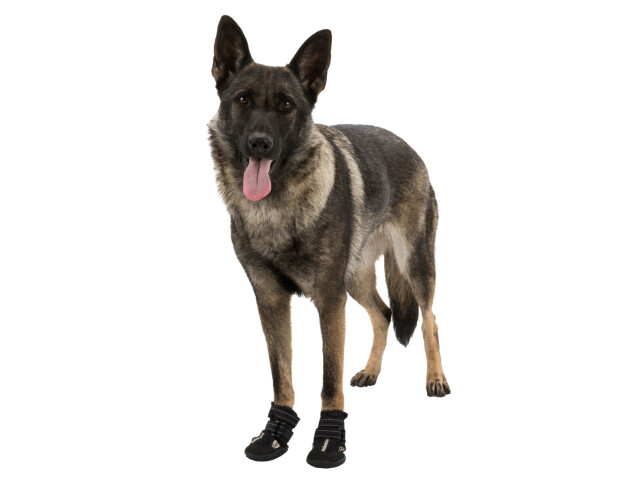 Trixie Pantofi Walker Active, Cu Talpa Robusta, L-XL, 2 buc, Negru, 19466