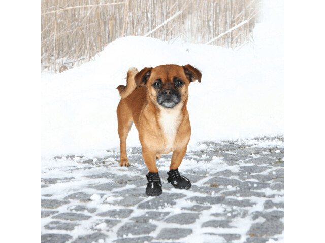 Trixie Pantofi Walker Active, Cu Talpa Robusta, S-M, 2 buc, Negru, 19462 - imagine 7