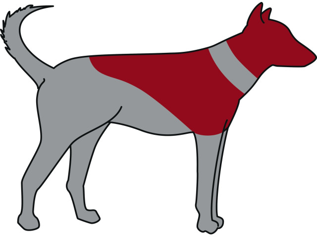 Trixie Guler Protector, Gonflabil, L-XL: 66-78 cm/12 cm, Albastru, 19544 - imagine 3