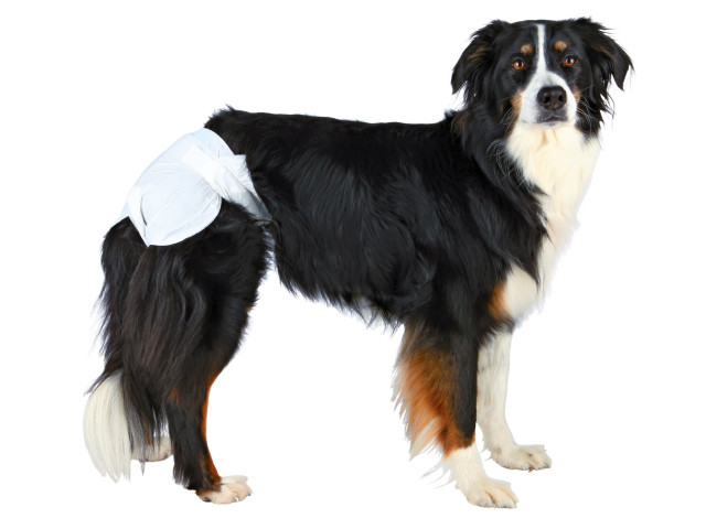 Trixie Scutece Pentru Caini Femele, XS-S: 20-28 cm, 12 buc, 23631