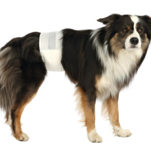 Trixie Scutece Pentru Caini Masculi, M-L: 46-60 cm, 12 buc, 23642