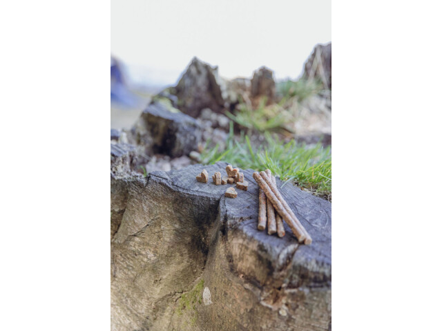 Trixie Recompense Pentru Caini Alergici, Betisoare De Insecte Cu Viermi De Faina, 80 g, 31659