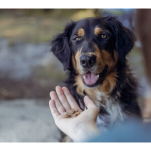 Trixie Recompense Pentru Caini Alergici, Inimi De Insecte Cu Viermi De Faina, 80 g, 31660