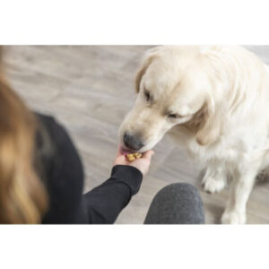 Trixie L(-22%)Forma De Copt Gustari Sub Forma De Oase, Silicon, 38x28cm 34989