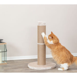 Trixie Ansamblu XXL Rue, 50x15x80 cm, Bej, 43337