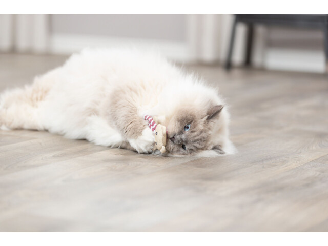 Trixie Jucarie Pentru Pisici, Ursulet Cu Catnip, 12 cm, Diverse Culori, 45665 - imagine 3