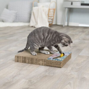 Trixie Carton de Zgariat, cu Doua Mingi si Catnip, 38 x 5 x 30 cm, Multicolor, 48006