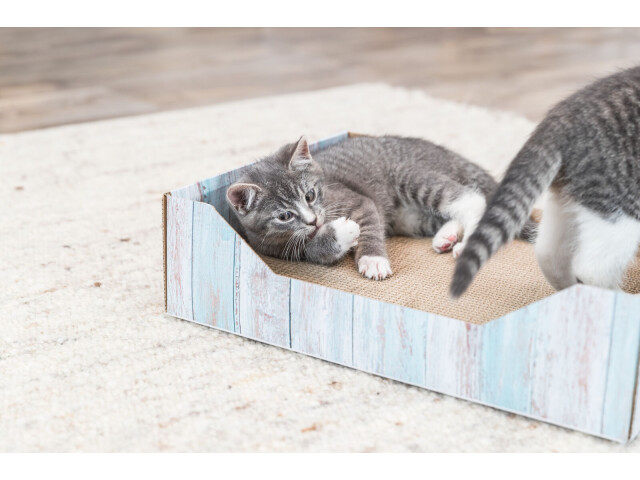 Trixie Carton de Zgariat tip Pat, 45x12x33 cm, 48013