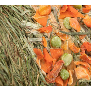 Trixie L(-22%)Recompensa Pentru Rozatoare, Pendul De Fan, 250 g, 60797