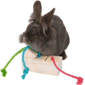 Trixie A(-15%) Jucarie De Strategie Pentru Rozatoare, Cub, Lemn, 15x5.5x6 cm, 62815