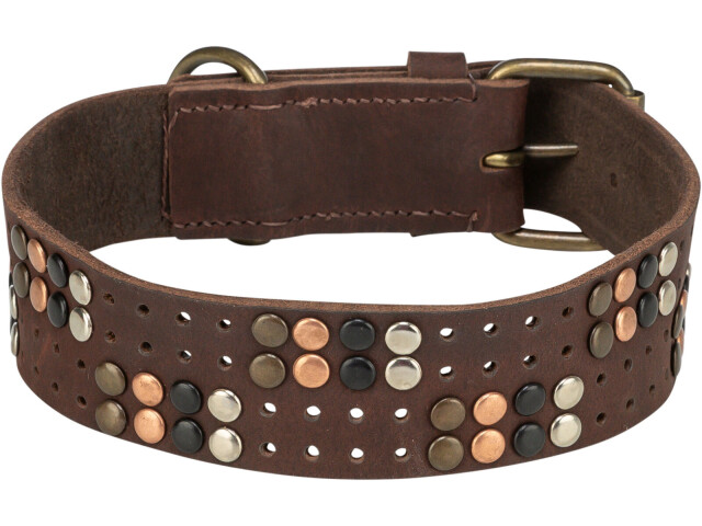 Trixie Zgarda Piele cu Nituri Rustice, XL, 55-65 cm/40 mm, Maro, 18976