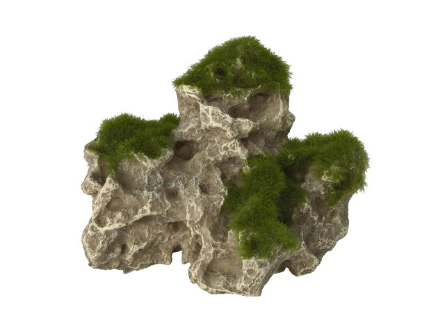 Aqua Della L(-12%)Decor Stanca Cu Muschi 15,5x10,5x12,8 cm 234/431573