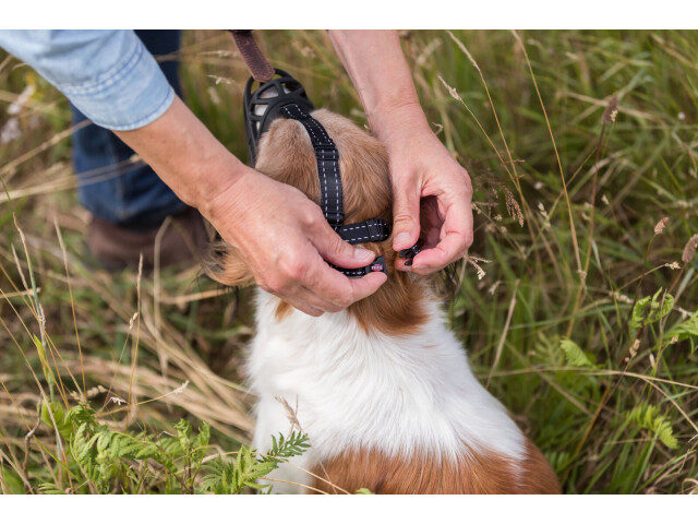 Trixie Botnita Flexibila, Cauciuc, M (Bot 25 cm/ Cap 19 cm) Negru 17612 - imagine 6