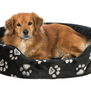 Trixie Pat Jimmy, 55 x 45 cm, Negru 36632