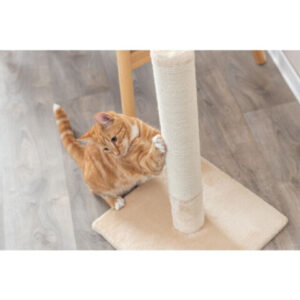 Trixie Stalp Sisal De Zgariat, Batres, 38x38 cm/ h: 62 cm, Bej, 43360