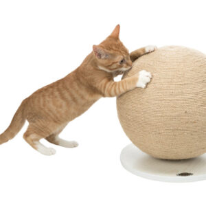 Trixie Minge Sisal De Zgariat Cu Baza De Lemn, 29x31 cm, 43721