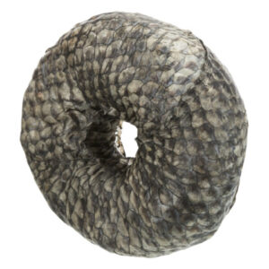 Trixie Recompensa Pentru Caini, Denta Fun, Inel De Mestecat Cu Peste, 10cm/110g, (10buc/Set)-Pret Bucata, 313341