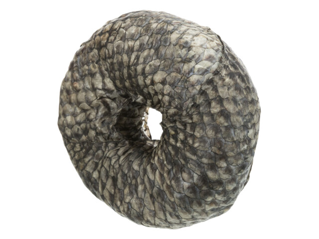 Trixie Recompensa Pentru Caini, Denta Fun, Inel De Mestecat Cu Peste, 10cm/110g, (10buc/Set)-Pret Bucata, 313341