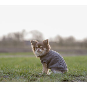 Trixie Pulover Kenton, XS: 24 cm, Taupe, 680050