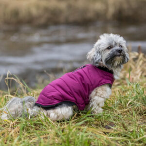 Trixie L(-27%)Hainuta Arlay, XXS: 21 cm, Visiniu, 680331