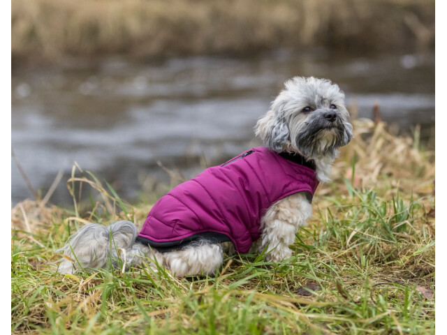 Trixie L(-27%)Hainuta Arlay, XXS: 21 cm, Visiniu, 680331