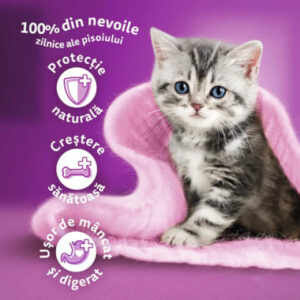 Whiskas Hrana Umeda Pentru Pisici, Whiskas Junior, Pui In Aspic, 85 g