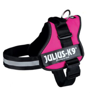 Julius K-9 Ham Julius-K9 XL/2 71-96 cm Fucsia 150508