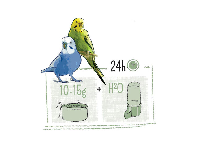 Witte Molen A(-15%) Hrana Pentru Perusi, Puur, Gourmet Mix De Seminte, 750 g, L654863