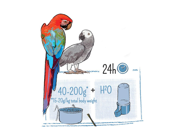 Witte Molen Hrana Pentru Papagali, Puur Gourmet, 2 kg, L654876