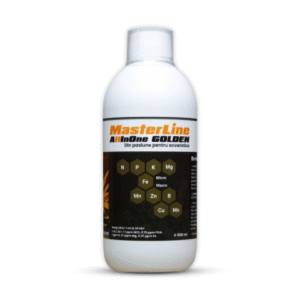 MasterLine Masterline All in One Golden (500ml)