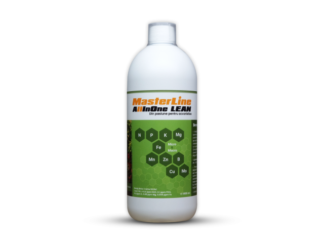 MasterLine Masterline All in One Lean, 1000ml