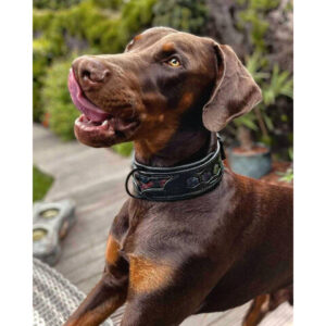 Bestia Zgarda Batman, Piele Naturala, L