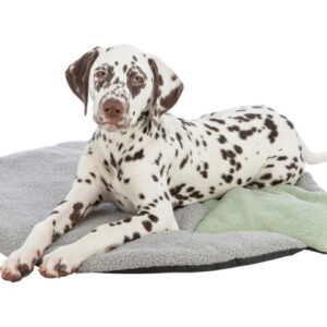 Trixie L(-22%)Covoras Junior, Cu Stea, 86x80 cm,Gri/Verde Menta, 38245