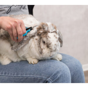 Trixie Foarfeca Pentru Fata/Labute, 8 cm, 2360