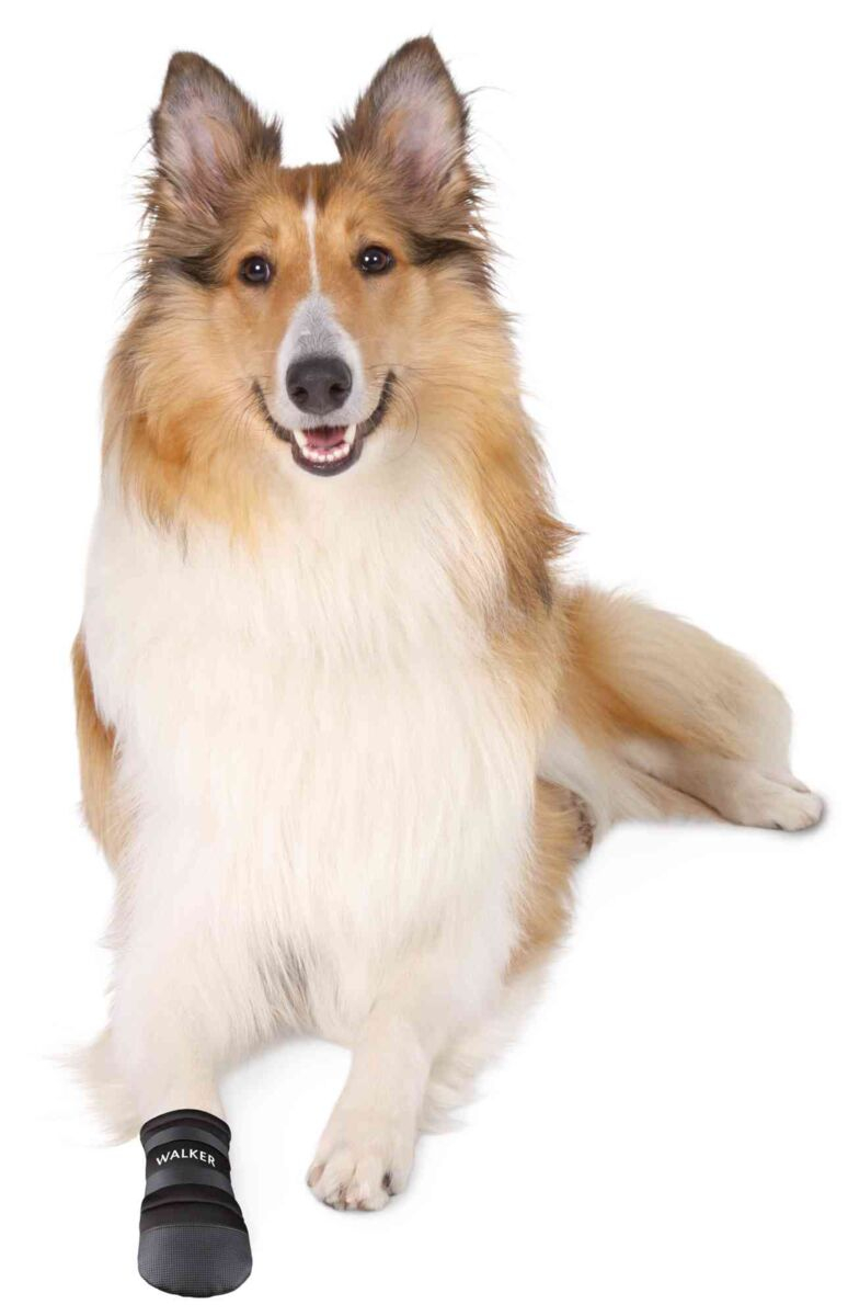 Trixie Pantofi Walker Care, Impermeabili, XXL, 2 buc, Negru,1955 - imagine 6