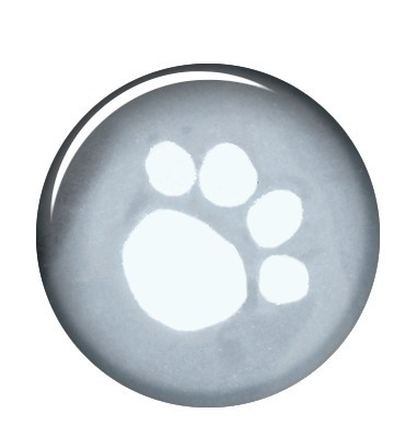 Trixie Pelerina Ploaie 50 cm M 48-74 cm 3005 - imagine 4