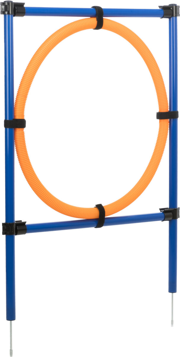Trixie Inel Pentru Caini, Fun Agility, Plastic, 115x3 cm, 65 cm, 3208 - imagine 8