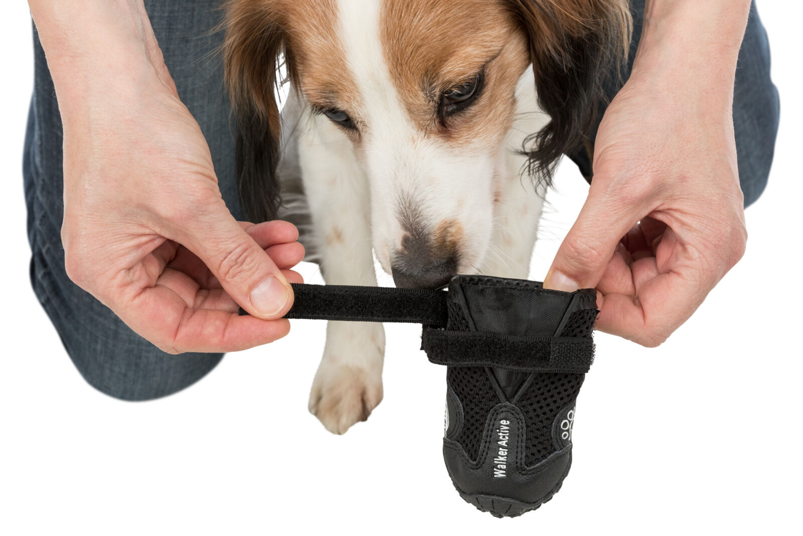 Trixie Pantofi Walker Active, Cu Talpa Robusta, S-M, 2 buc, Negru, 19462 - imagine 38