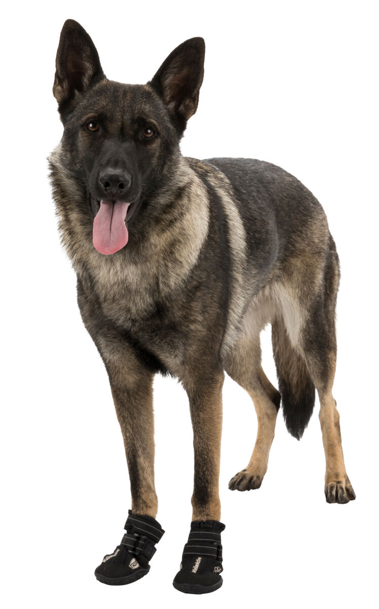 Trixie Pantofi Walker Active, Cu Talpa Robusta, S-M, 2 buc, Negru, 19462 - imagine 26