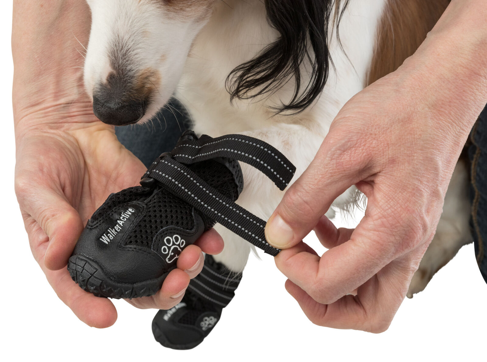 Trixie Pantofi Walker Active, Cu Talpa Robusta, S-M, 2 buc, Negru, 19462 - imagine 37